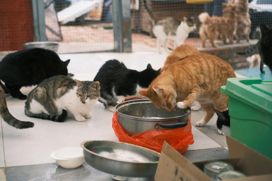 feed the cats program pdf