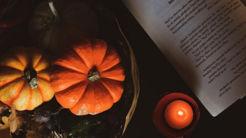 thanksgiving reading comprehension worksheets pdf