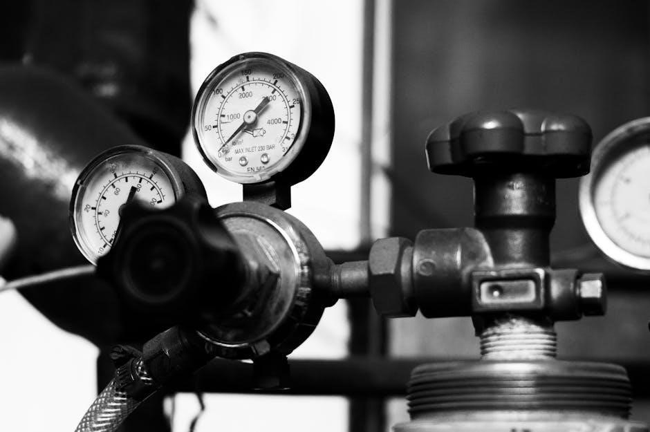 baccarat pressure cooker user manual