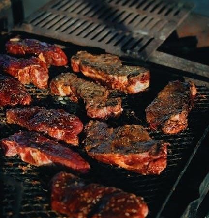 cuisinart griddle manual