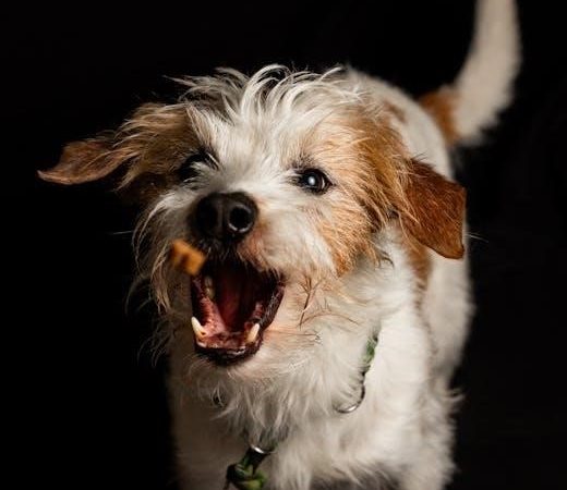puppy training guide pdf