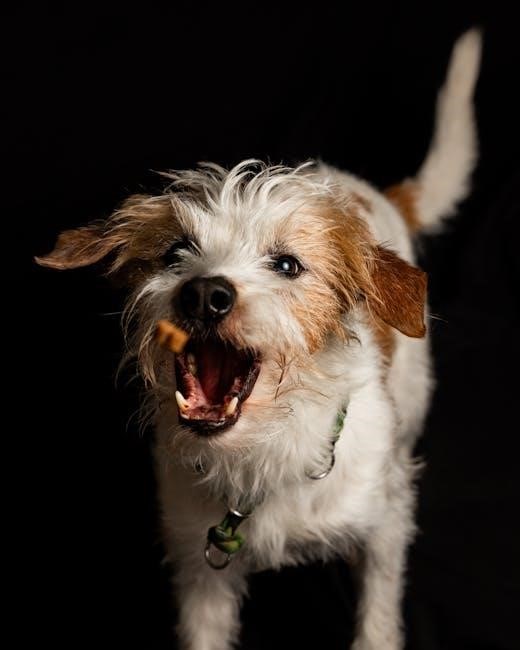 puppy training guide pdf