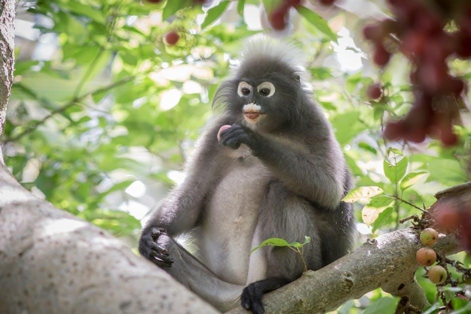 taste of the wild feeding guide