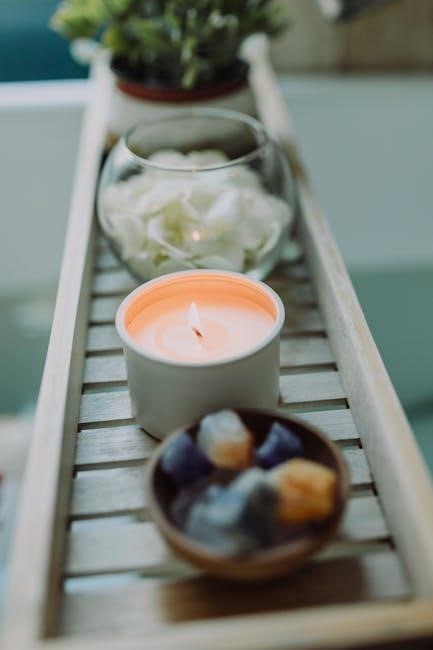 dbt self soothing pdf