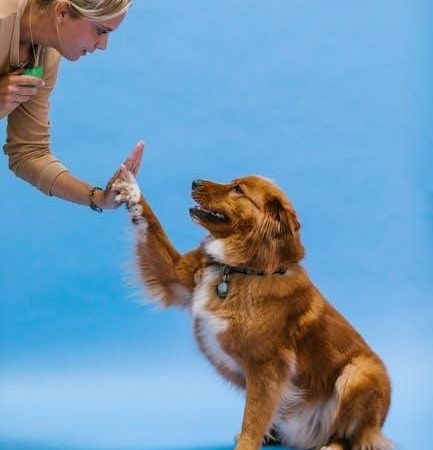 dog training commands list pdf