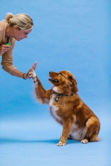 dog training commands list pdf