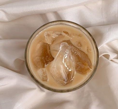 primula cold brew coffee instructions