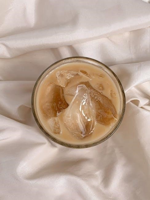 primula cold brew coffee instructions