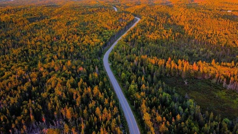 nova scotia driving handbook pdf