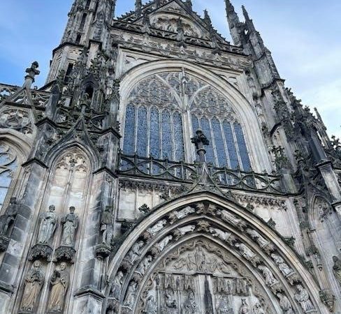 instructions for bosch induction hob