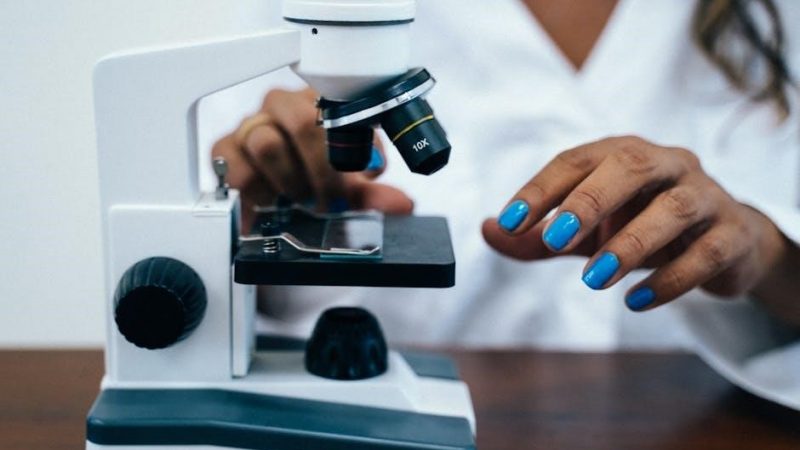 how to cite a laboratory manual apa