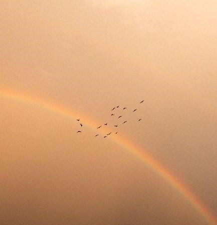 rainbow connection lyrics pdf